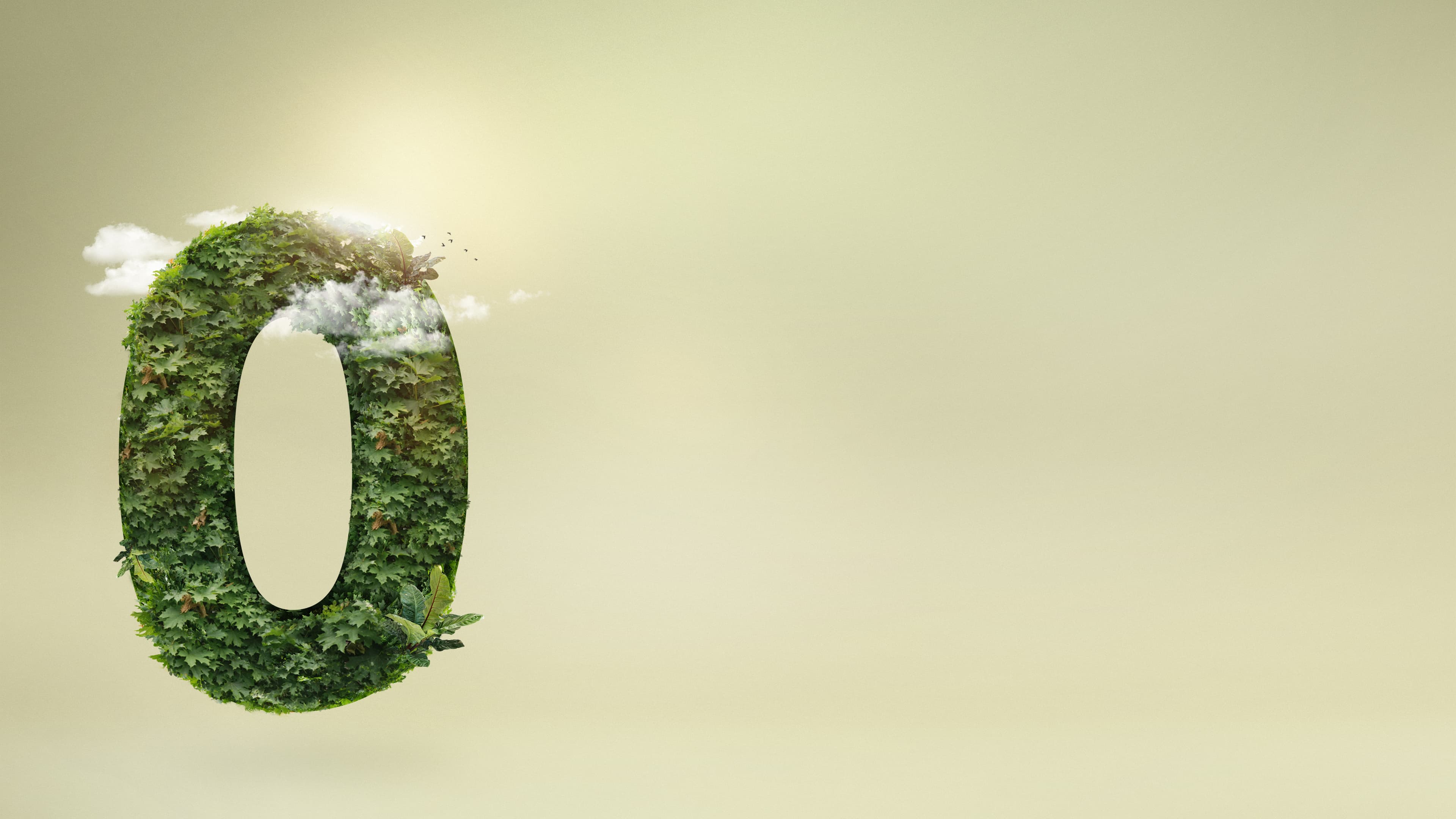 Segurança e garantia